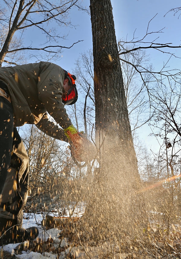 Timber Stand Improvement