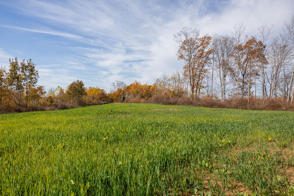 Food Plot Installation